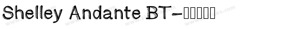 Shelley Andante BT字体转换